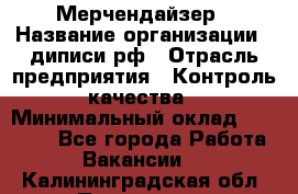 Мерчендайзер › Название организации ­ диписи.рф › Отрасль предприятия ­ Контроль качества › Минимальный оклад ­ 20 000 - Все города Работа » Вакансии   . Калининградская обл.,Приморск г.